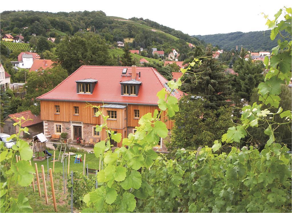 Апартаменты Weingut Mariaberg Мейсен Экстерьер фото