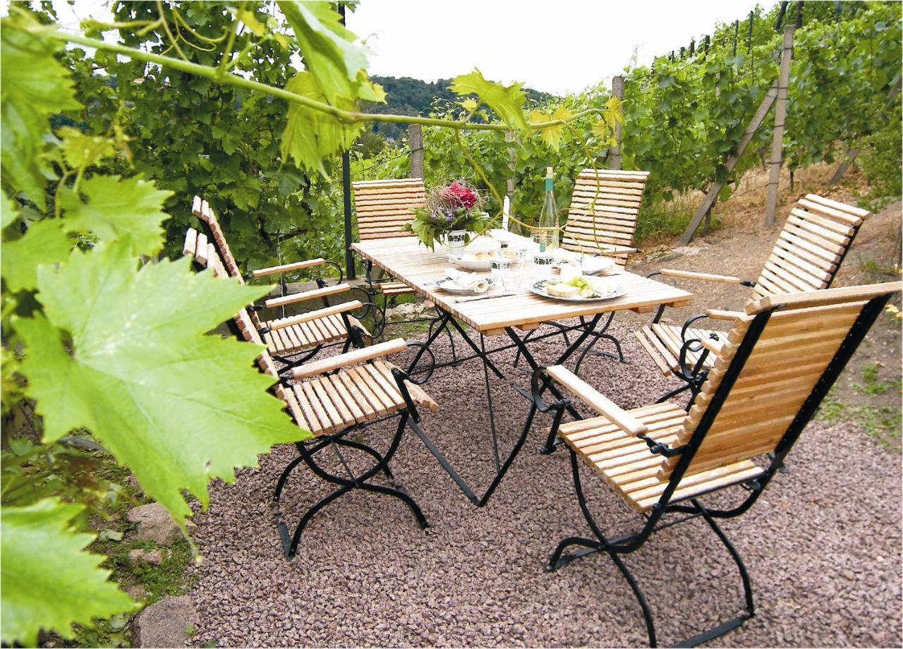 Апартаменты Weingut Mariaberg Мейсен Экстерьер фото